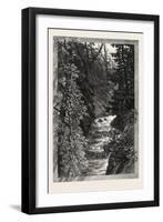 A Trout Pool on the Saugeen, Canada, Nineteenth Century-null-Framed Giclee Print