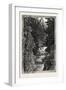 A Trout Pool on the Saugeen, Canada, Nineteenth Century-null-Framed Giclee Print