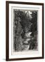 A Trout Pool on the Saugeen, Canada, Nineteenth Century-null-Framed Giclee Print