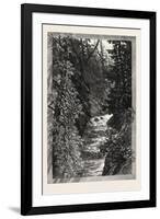 A Trout Pool on the Saugeen, Canada, Nineteenth Century-null-Framed Giclee Print