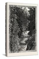 A Trout Pool on the Saugeen, Canada, Nineteenth Century-null-Stretched Canvas