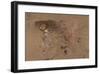 A Trout Rising-Joseph Crawhall-Framed Premium Giclee Print