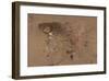 A Trout Rising-Joseph Crawhall-Framed Premium Giclee Print