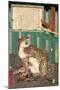 A True Picture of the Fierce Live Tiger Never Seen from the Past to the Present-Kyosai Kawanabe-Mounted Giclee Print
