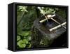 A Tsukubai With Bamboo Ladle in a Garden at Sanzenin Temple in Ohara, Kyoto, Japan-null-Framed Stretched Canvas