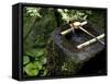 A Tsukubai With Bamboo Ladle in a Garden at Sanzenin Temple in Ohara, Kyoto, Japan-null-Framed Stretched Canvas