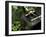 A Tsukubai With Bamboo Ladle in a Garden at Sanzenin Temple in Ohara, Kyoto, Japan-null-Framed Photographic Print