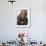 A Tuareg Woman with Attractive Silver Jewellery at Her Desert Home, North of Timbuktu, Mali-Nigel Pavitt-Framed Photographic Print displayed on a wall