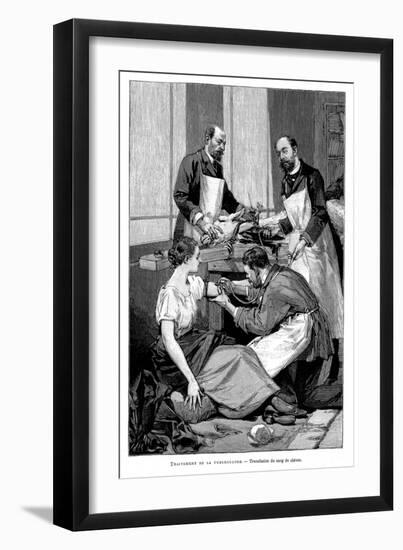 A Tuberculosis Patient Being Given a Transfusion of Goat's Blood, 1891-null-Framed Giclee Print