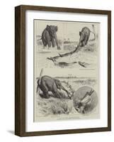 A Tug of War Extraordinary-Godefroy Durand-Framed Giclee Print