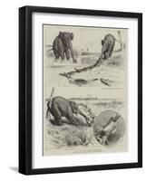 A Tug of War Extraordinary-Godefroy Durand-Framed Giclee Print