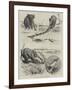 A Tug of War Extraordinary-Godefroy Durand-Framed Giclee Print