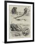 A Tug of War Extraordinary-Godefroy Durand-Framed Giclee Print