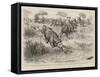 A Tug of War on the Notawani River, South Africa-Godefroy Durand-Framed Stretched Canvas