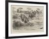 A Tug of War on the Notawani River, South Africa-Godefroy Durand-Framed Giclee Print