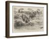 A Tug of War on the Notawani River, South Africa-Godefroy Durand-Framed Giclee Print