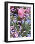 A Tulip at Luxembourg Gardens, Paris, France-William Sutton-Framed Photographic Print