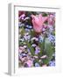 A Tulip at Luxembourg Gardens, Paris, France-William Sutton-Framed Photographic Print