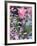 A Tulip at Luxembourg Gardens, Paris, France-William Sutton-Framed Photographic Print