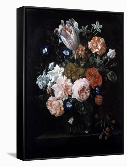 A Tulip, Carnations, and Morning Glory in a Glass Vase, 17th Century-Nicolaes van Veerendael-Framed Stretched Canvas