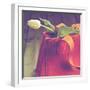 A Tulip in a Handbag-Joana Kruse-Framed Photographic Print