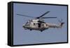 A Turkish Air Force As532 Al Cougar During a Flypast in Izmir, Turkey-Stocktrek Images-Framed Stretched Canvas