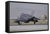A Turkish Air Force F-4E 2020 Terminator Deploys its Drag Chute Upon Landing-Stocktrek Images-Framed Stretched Canvas