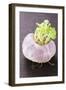 A Turnip-Foodcollection-Framed Photographic Print