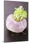 A Turnip-Foodcollection-Mounted Photographic Print