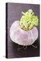 A Turnip-Foodcollection-Stretched Canvas