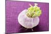 A Turnip-Foodcollection-Mounted Photographic Print