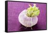 A Turnip-Foodcollection-Framed Stretched Canvas