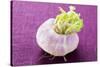 A Turnip-Foodcollection-Stretched Canvas