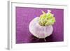 A Turnip-Foodcollection-Framed Photographic Print