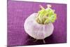 A Turnip-Foodcollection-Mounted Photographic Print