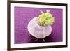 A Turnip-Foodcollection-Framed Photographic Print