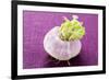 A Turnip-Foodcollection-Framed Photographic Print