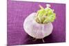 A Turnip-Foodcollection-Mounted Photographic Print