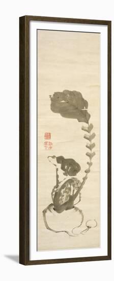 A Turnip-Jakuchu Ito-Framed Premium Giclee Print