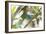 A Turquoise Honeycreeper, Dacnis Cayana, in a Tree in Ubatuba-Alex Saberi-Framed Photographic Print