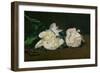 A Twig of White Peonies with Pruning Shears, 1864-Edouard Manet-Framed Giclee Print