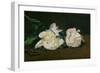 A Twig of White Peonies with Pruning Shears, 1864-Edouard Manet-Framed Giclee Print