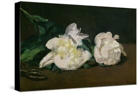 A Twig of White Peonies with Pruning Shears, 1864-Edouard Manet-Stretched Canvas