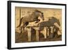 A Two-Year Old Kathiawari Horse Filly Free Jumping, Porbandar, Gujarat, India-Kristel Richard-Framed Photographic Print