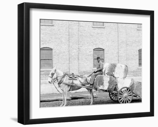 A Typical Cotton Cart, Mobile, Ala.-null-Framed Photo