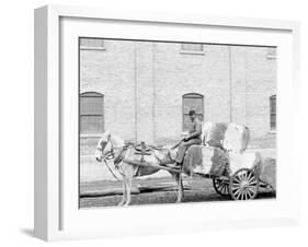 A Typical Cotton Cart, Mobile, Ala.-null-Framed Photo