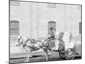 A Typical Cotton Cart, Mobile, Ala.-null-Mounted Photo