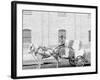 A Typical Cotton Cart, Mobile, Ala.-null-Framed Photo