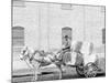 A Typical Cotton Cart, Mobile, Ala.-null-Mounted Photo