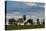 A Typical Farm Scene in Bonito with Cerrado Vegetation, Brazil-Alex Saberi-Stretched Canvas